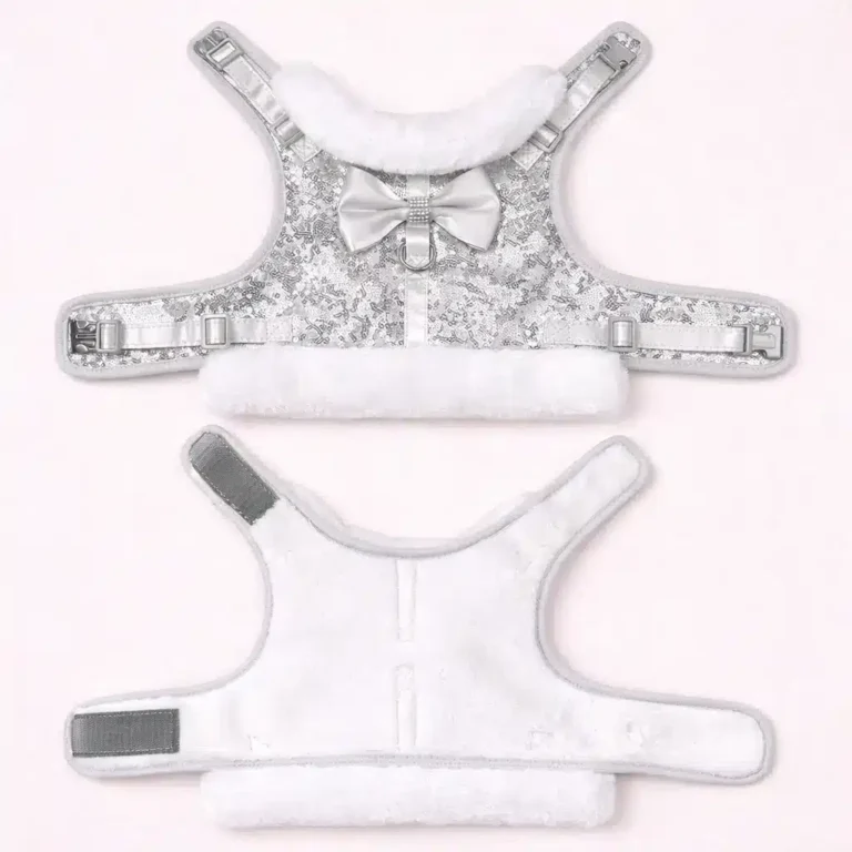 Harnais et laisse sequins argent petit chien ouvert