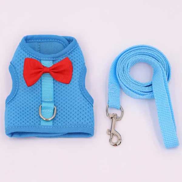 Harnais + laisse bleu avec noeud rouge chihuahua