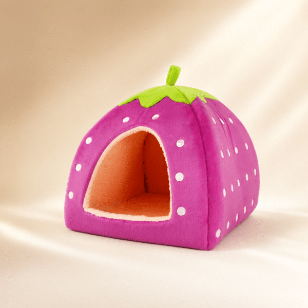 Niche fraise violet petit chien