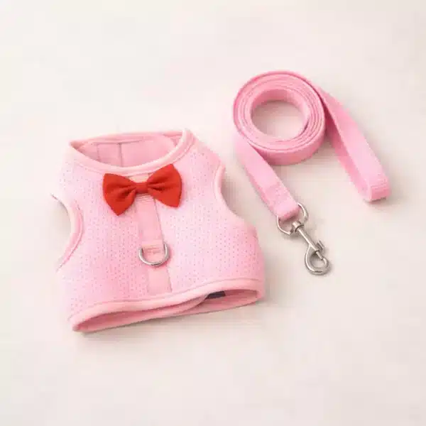 Harnais + laisse rose avec noeud rouge chihuahua