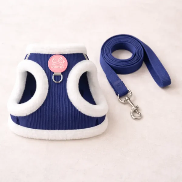 Harnais + laisse rembourré bleu foncé et blanc chihuahua