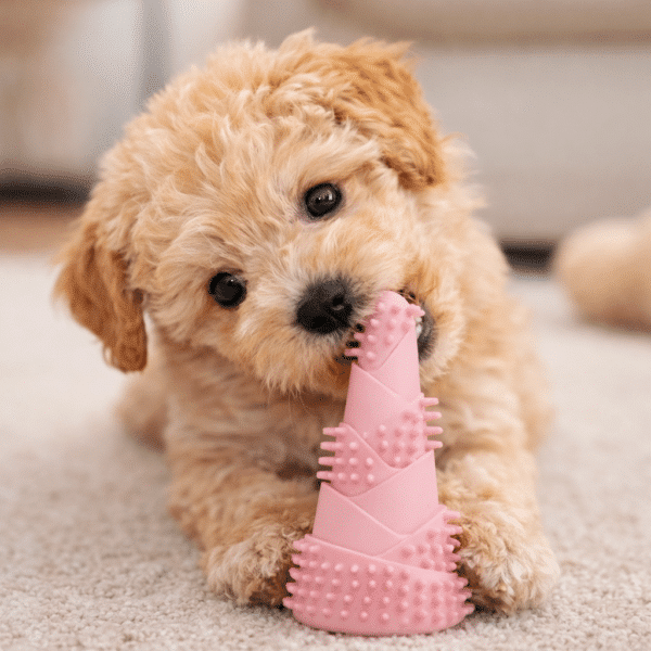 Jouet rose pour faire dents chien