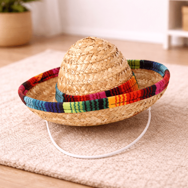 Chapeau de paille pour chien