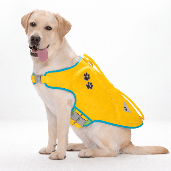 Gilet de sauvetage petit chien