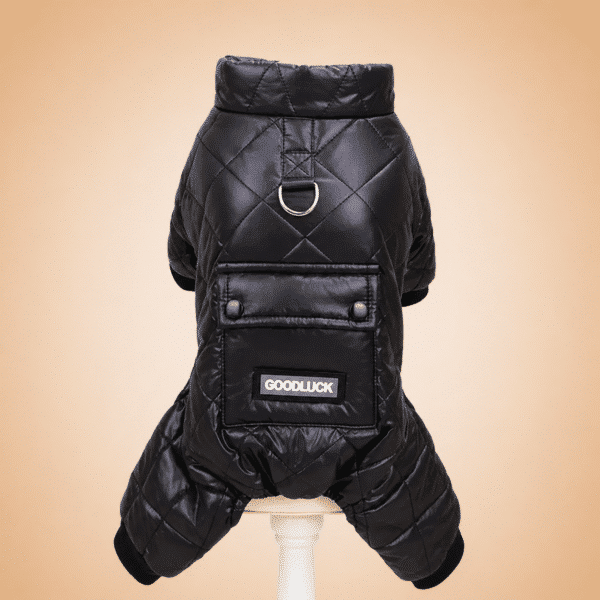 Combinaison épaisse avec poche noir chihuahua