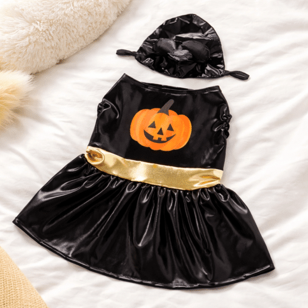 Déguisement halloween noir citrouille petit chien