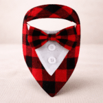 d5ab7904-ea2c-419f-8f8a-42281d969073