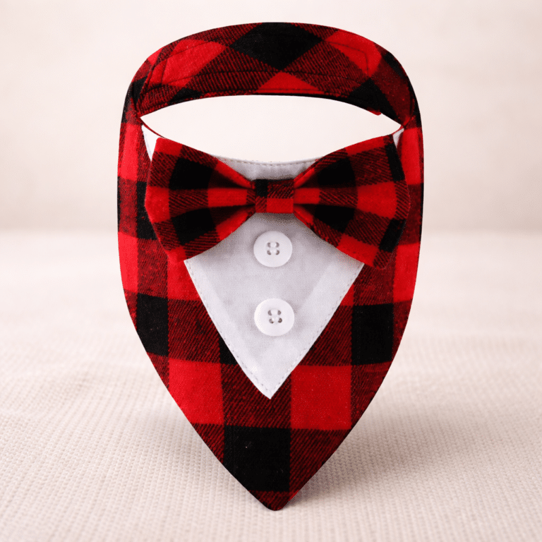 d5ab7904-ea2c-419f-8f8a-42281d969073