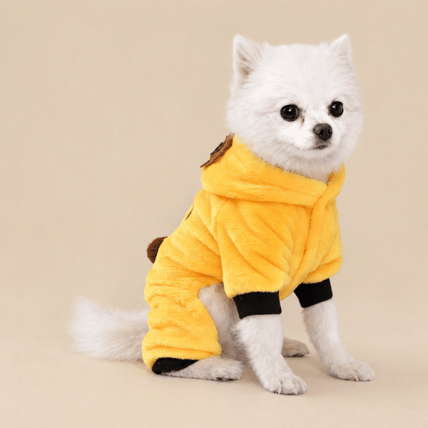 Déguisement lion couronne petit chien