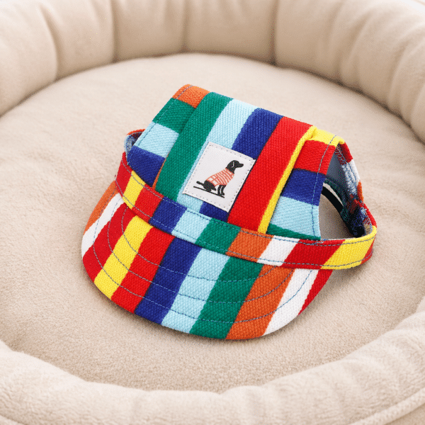 Casquette muticouleurs pour chien