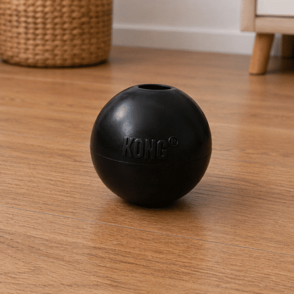 Jouet pour chien rond KONG noir