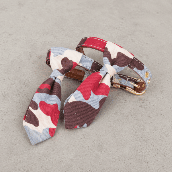 Collier cravate rouge et marron chien