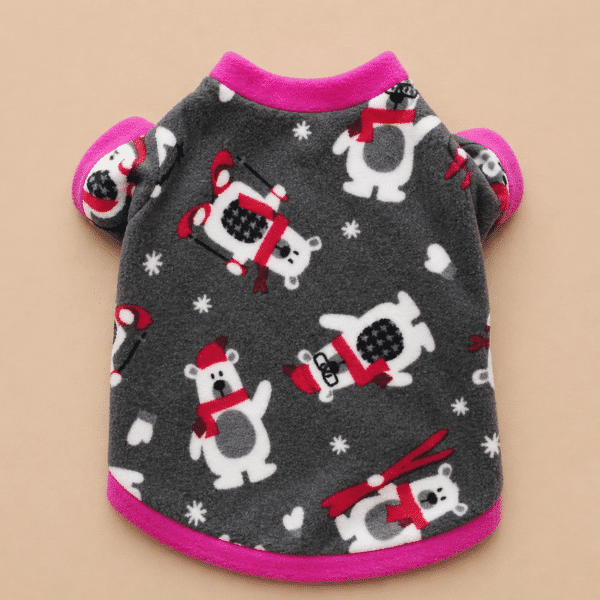 Pull ourson ski chihuahua