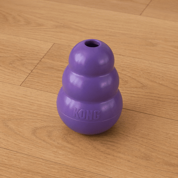 Jouet KONG violet pour chien