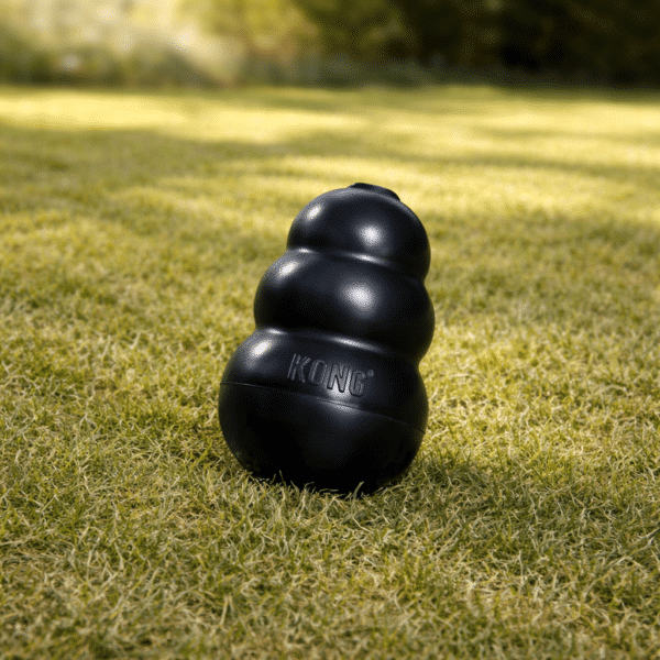 Jouet kong noir pour chien