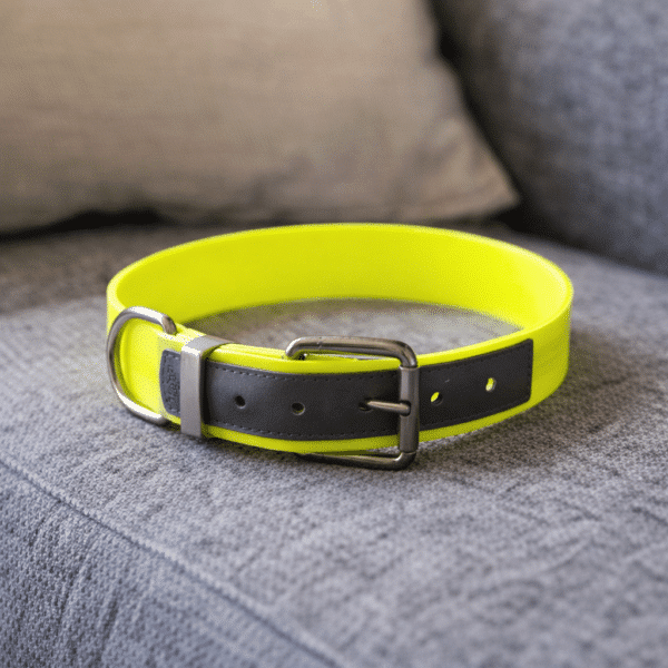 Collier imperméable true love chien