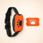 Collier pour petit chien anti-aboiement orange