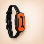 Collier pour petit chien anti-aboiement os orange