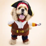 Déguisement capitaine croché petit chiengal