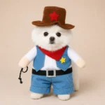Déguisement chef cow boy spitz gal