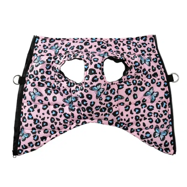 Veste Rose papillon bleu petit chien 2