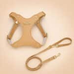 6b505e98-15dd-4d11-846d-ed951314184a