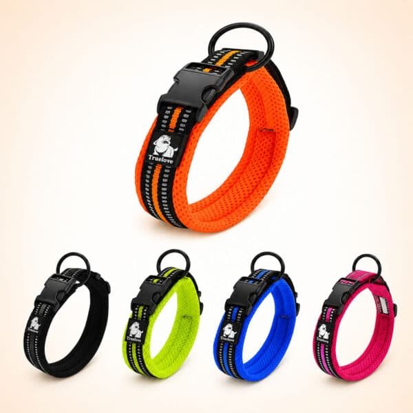 Collier truelove en nylon pour chien