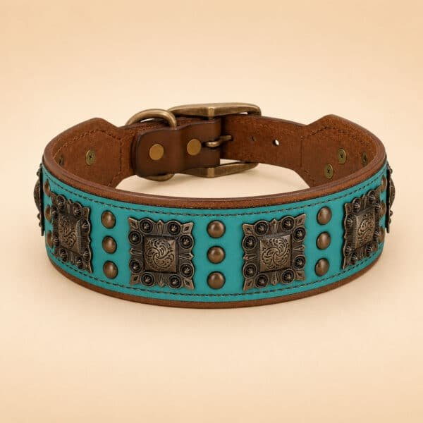 Collier en cuir turquoise chien