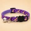 Collier pour chien lune violet