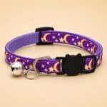Collier Pour Chien Lune Violet