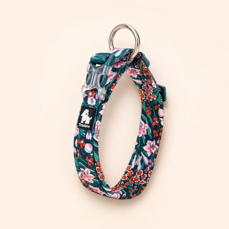 Collier True Love Bleu Canard Pourpetit Chien1
