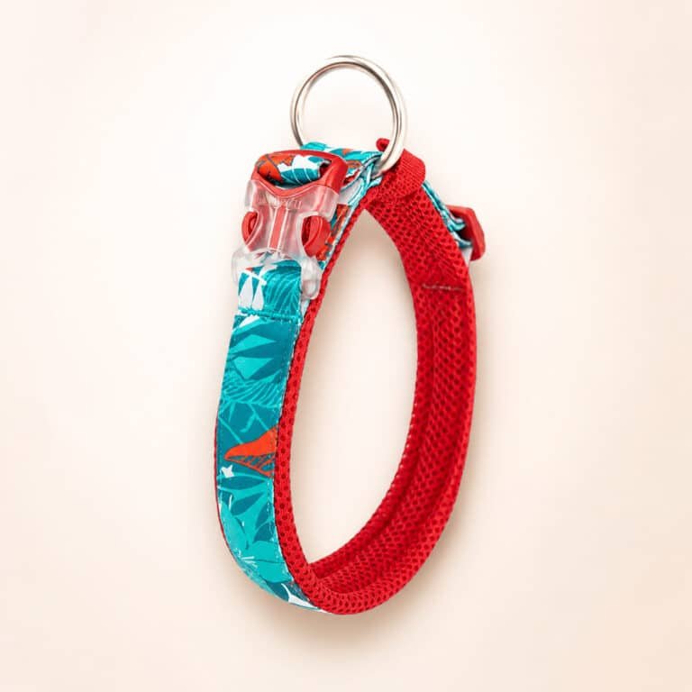 Collier True Love Rouge Et Turquoise Petit Chien1