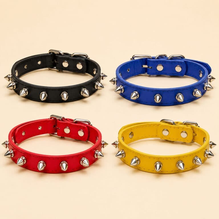 Colliers À Pique Pour Petit Chien1