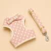 Ensemble harnais et laisse à pois rose petit chien