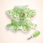 Harnais petit chien dentelle vert et blanc + laisse