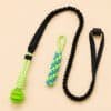 Jouets pour porte chien