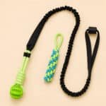 Jouets Pour Porte Chien
