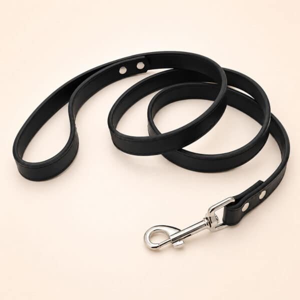 Laisse pour chien en cuir noir