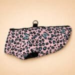 Veste Rose Papillon Bleu Petit Chien