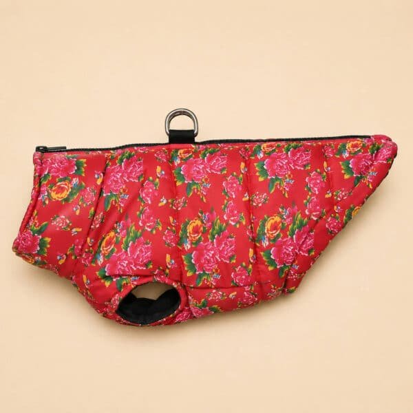 Veste rouge fleur rose petit chien