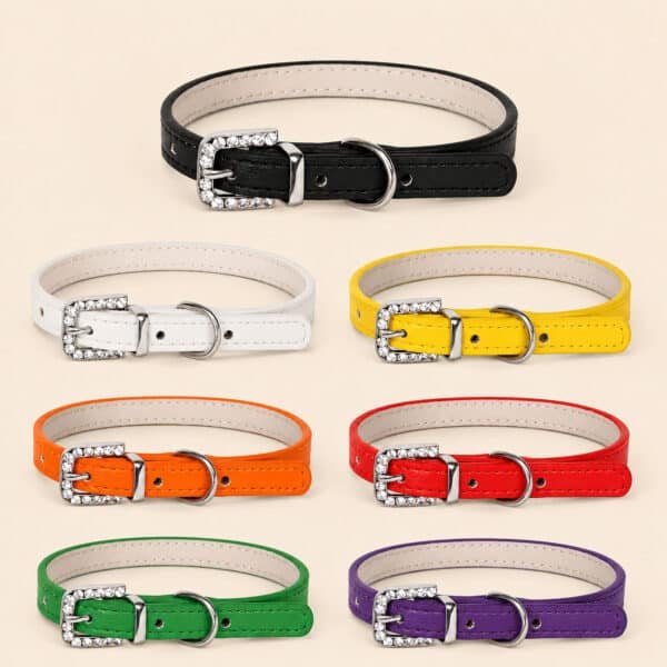 Collier en cuir chihuahua