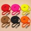 Laisse longue en PVC 9 mètres pour chien